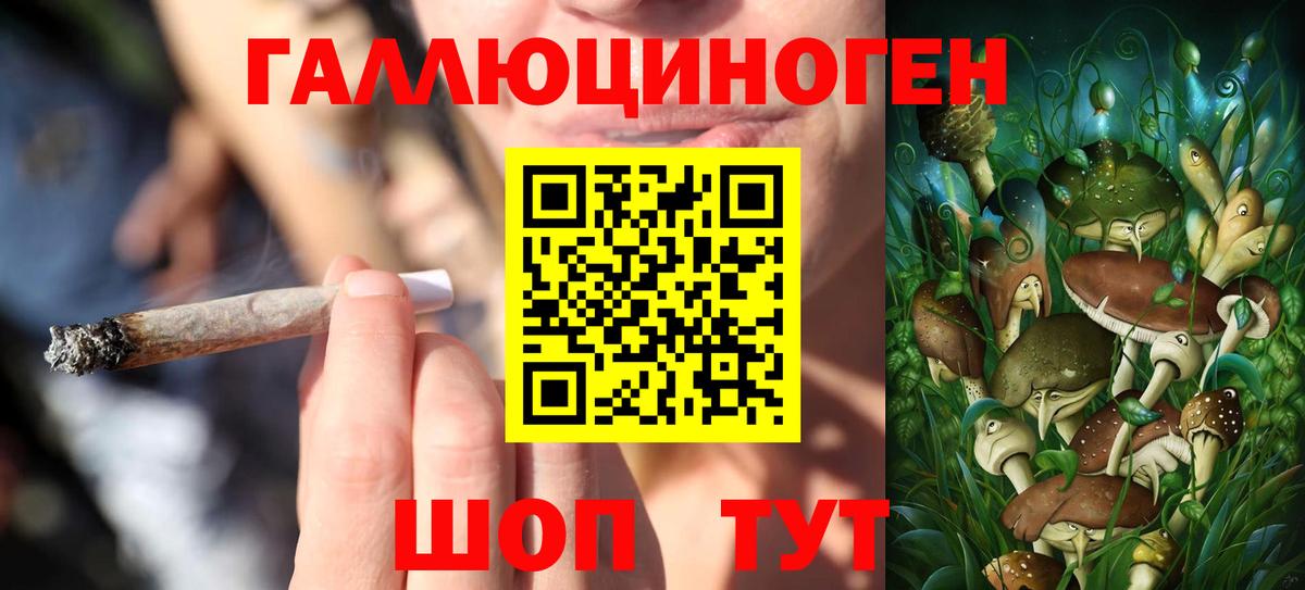 Галлюциногенные грибы GOLDEN TEACHER Анапа