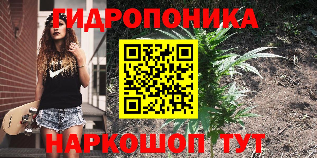 Бошки Шишки ГИДРОПОН Анапа